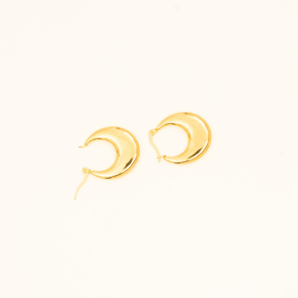 Blossom earrings